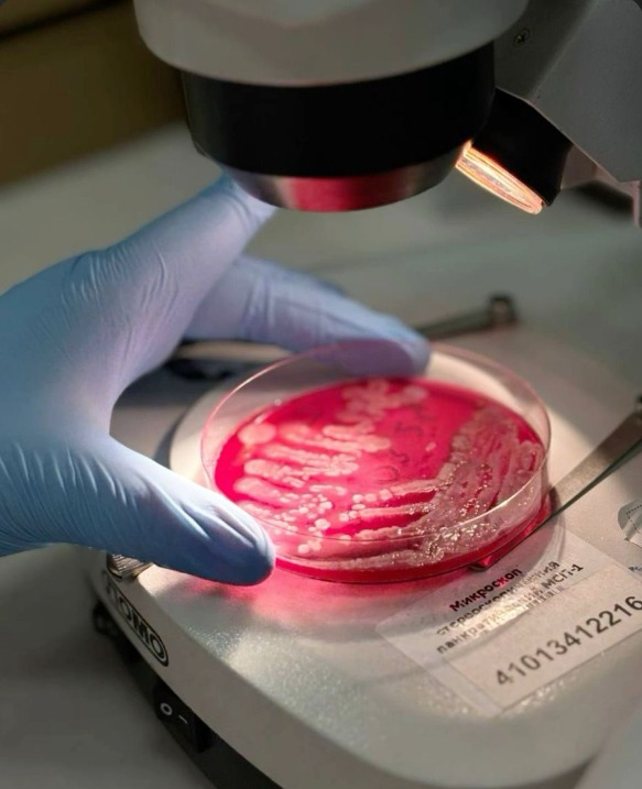 Hydrated culture media for microbiology
